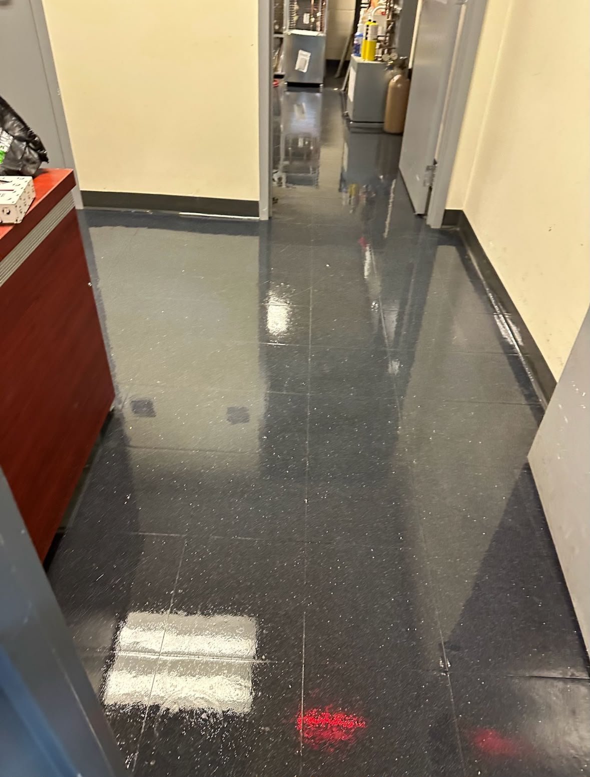 After cleaning — project 31
