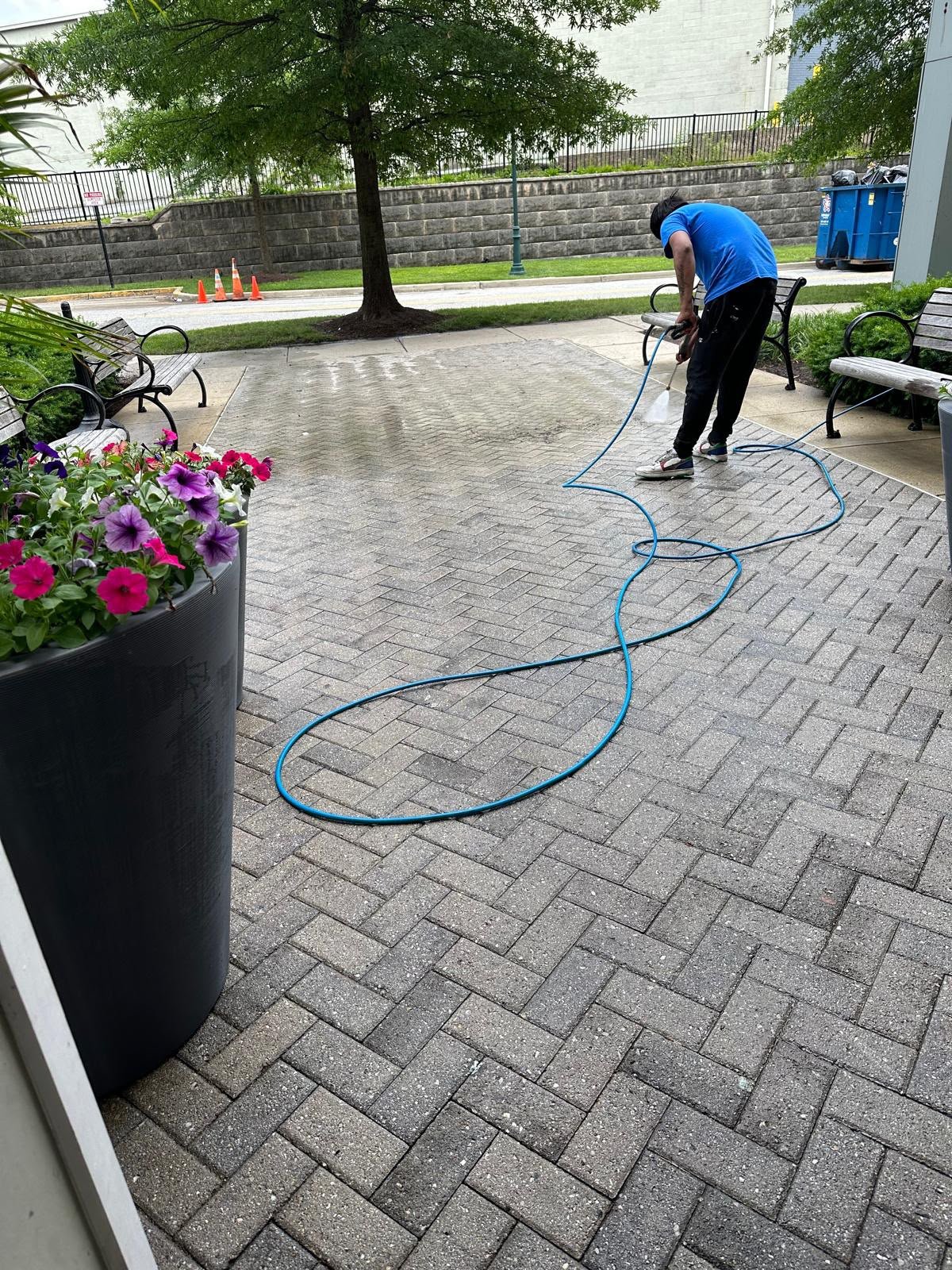 Floor care gallery photograph 15: before9.jpg